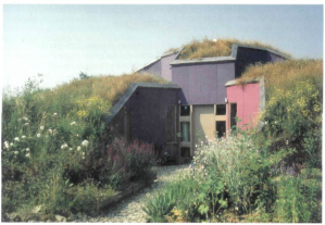 Casa integrada con techo verde.